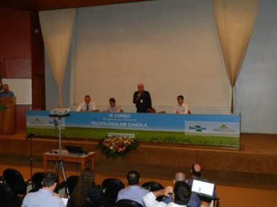 Mercado de biocombustíveis é oportunidade para crescimento da canola no Brasil