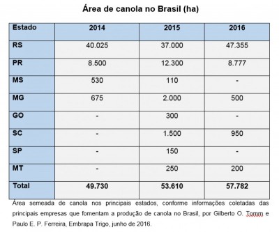 PRODUÇÃO DE CANOLA CRESCE 36% NO BRASIL.