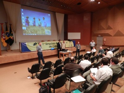 MOTIVOS PARA O CRESCIMENTO DA CANOLA NO BRASIL