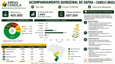 TABELA QUINZENAL INFORMAÇÕES CANOLA