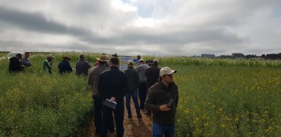 GIRO TÉCNICO ABRASCANOLA