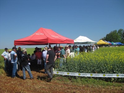 GRANDE DIA DE CAMPO SOBRE A CULTURA DA CANOLA DEMONSTRA O INTERESSE DOS PRODUTORES RURAIS PELO SEU CULTIVO