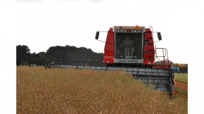 COMEÇA A COLHEITA DE CANOLA NO RIO GRANDE DO SUL