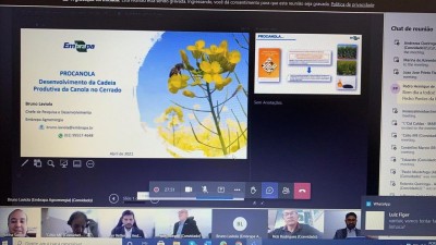 ABRASCANOLA presente na 40ª reunião da Câmara Setorial da cadeia produtiva de oleaginosas e biodiesel. SCOB.